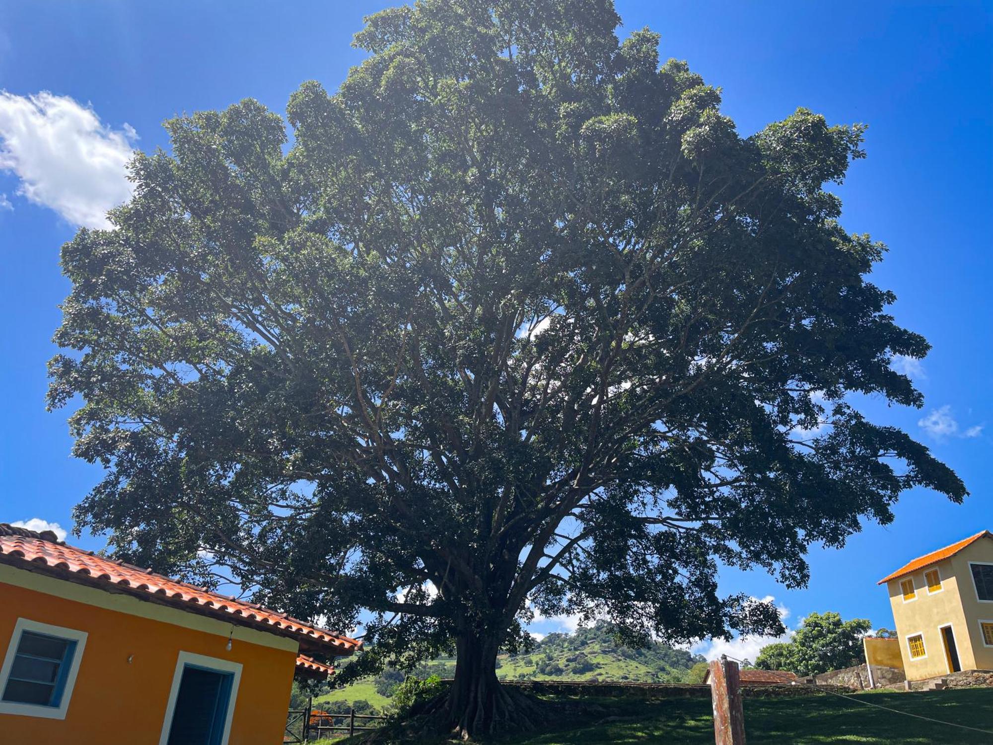 Fortuna Casas De Campo Socorro  Ngoại thất bức ảnh